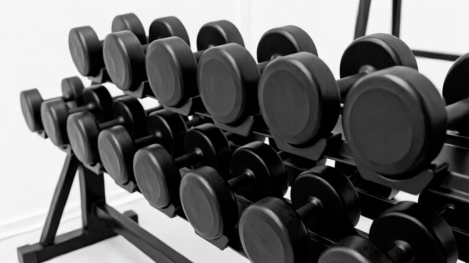 Équipement de haut niveau TrainerBE